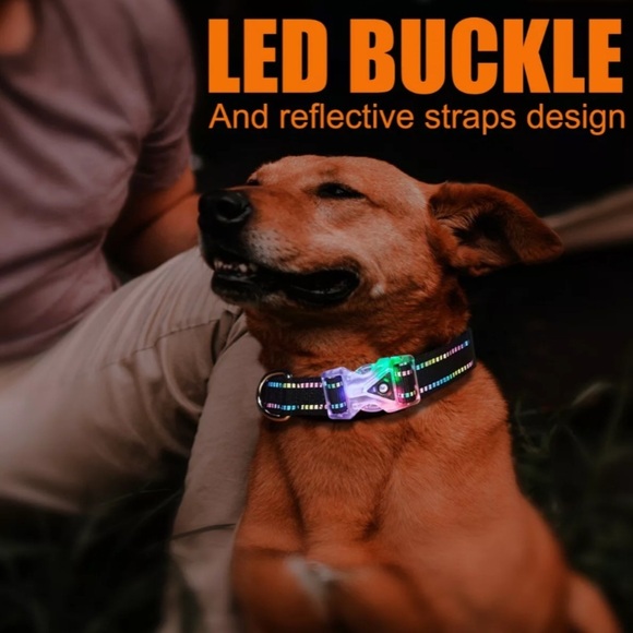 LED Dog Collar Night Safety Light Up Sunset Love Xtra Batteries Included Med NWT - Picture 6 of 16